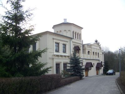 Pałac Wielgie